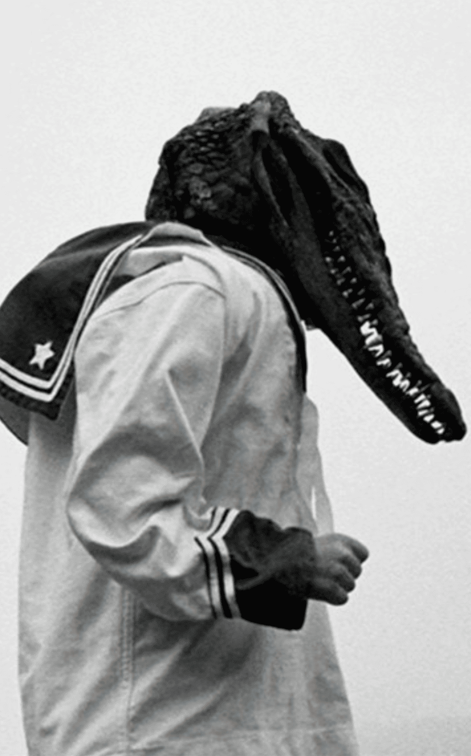 Flor Garduño. La construcción del instante