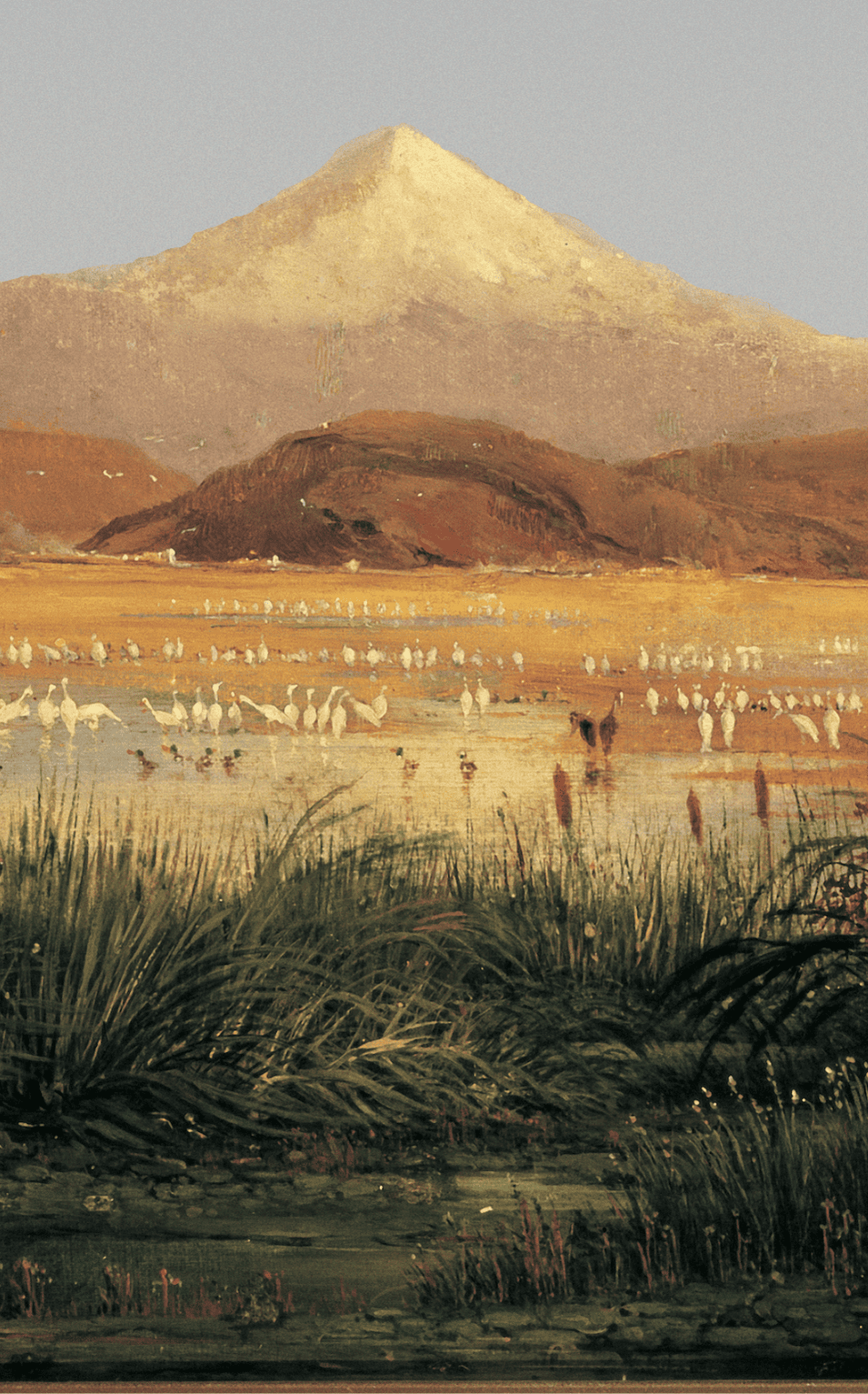 Valle de México visto desde el Lago de Texcoco