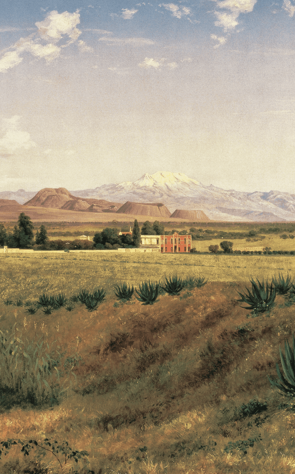 Hacienda de Coapa y Valle de México