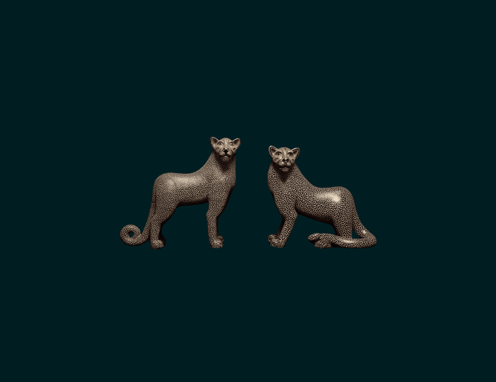 El jaguar y el universo