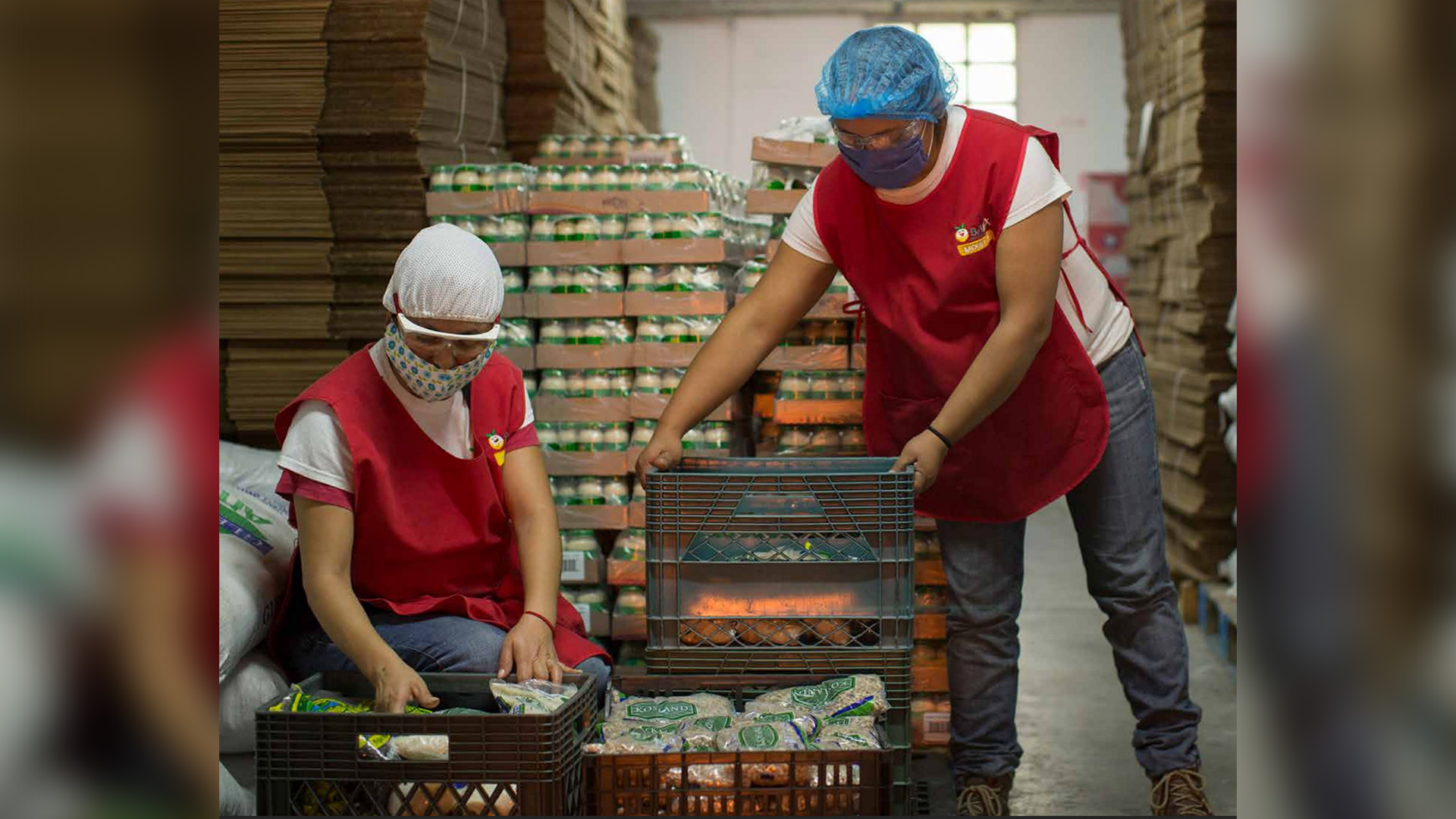 Red de Bancos de Alimentos de México, BAMX