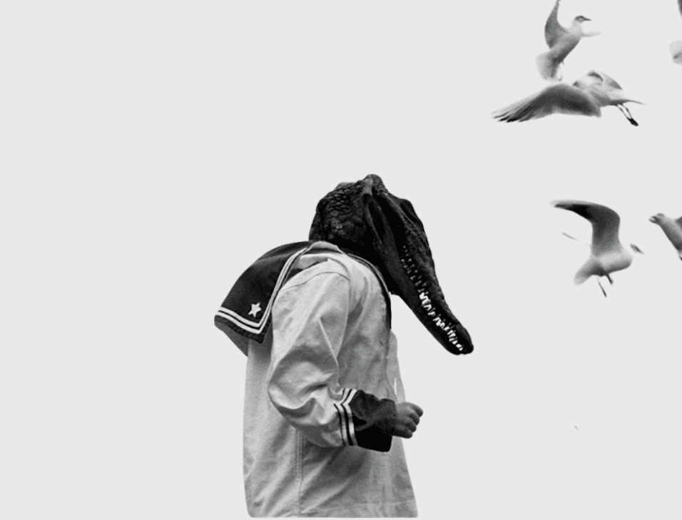 Flor Garduño. La construcción del instante