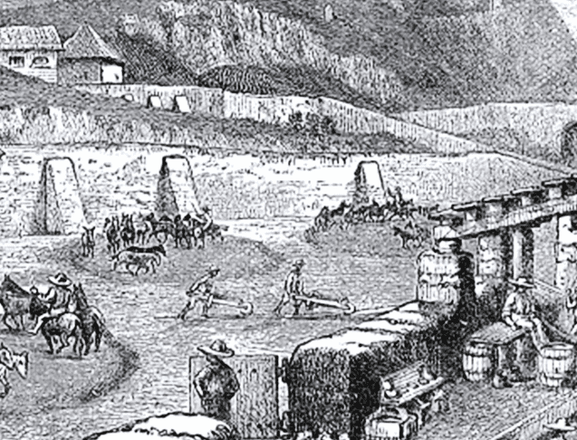 La plata mexicana en la Nueva España