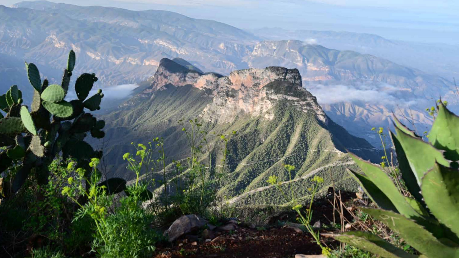 Sierra Gorda, ejemplo de protección forestal, turismo sostenible y desarrollo comunitario