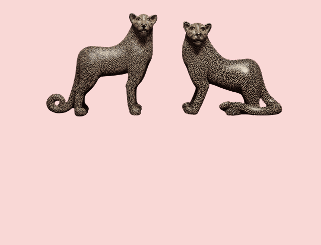 El jaguar y el universo